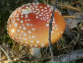 Фотография Зерюковой Анны