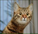 Фотография Селюниной Юлии