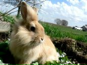 Таня Васильєва фотография #1