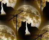 Фотография Рыжниковой Натальи