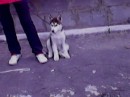 Ірина Шпортко фотография #30 (источник - https://vk.com/id77277537)
