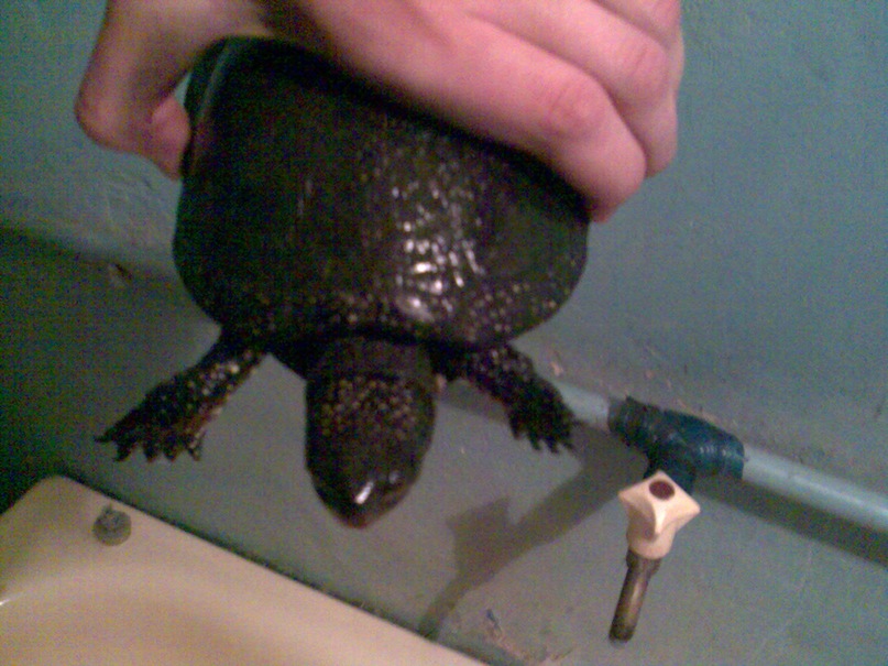 Игорь Дикий фотография #35