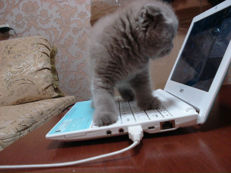 Милана Умарова фотография #10