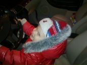 Фотография Шмидт Ларисы