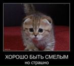 Фотография Наговицина Александра