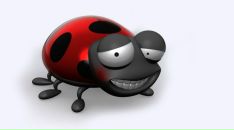 Фотография Никитин Артем