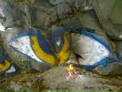 Фотография Новикова Димитрия