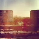 Фотография Найденовой Весты