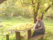 Фотография Авдеевой Валентины