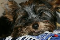 Виктор Андросов фотография #8 (источник - https://vk.com/id1914610)