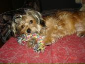 Иван Андреев фотография #19 (источник - https://vk.com/id2534545)