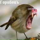 Саша Сікало фотография #29 (источник - https://vk.com/id101034221)