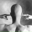 Любчик Нанівський фотография #27 (источник - https://vk.com/id44930100)