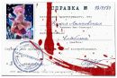 Фотография Женя Скарбовский