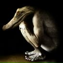 Фотография Ребрикова Олега