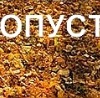 Марія Сторощук фотография #8 (источник - https://vk.com/id151264846)