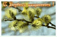 Фотография Stankovic Dragoslav