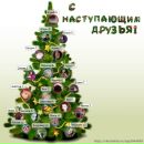 Фотография Зирки Алисы