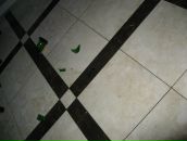 Анатолій Білик фотография #14 (источник - https://vk.com/id30225809)