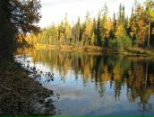 Игорь Мулявый фотография #4 (источник - https://vk.com/id488286)