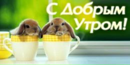 Іра Кунашук фотография #6 (источник - https://vk.com/id60307737)