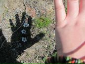 Фотография Ганзюковой Алёны