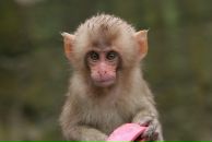 Фотография Александровой Людмилы