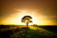 Юлія Микула фотография #13 (источник - https://vk.com/id93683407)