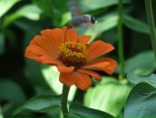 Дмитрий Дмитриченко фотография #44 (источник - https://vk.com/id5134906)