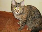 Фотография Елизаровой Марии