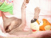 Фотография Коломиец Надежды