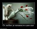 Сергій Павловський фотография #28 (источник - https://vk.com/id72670791)
