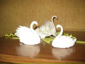 Лєнуля Тарасюк фотография #23 (источник - https://vk.com/id21858758)