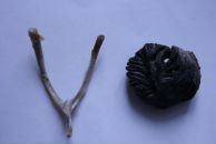 Фотография Шаталиной Елены