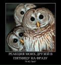 Вова Росінський фотография #39 (источник - https://vk.com/id26249181)
