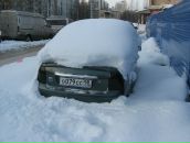 Фотография Басалаева Артёма