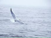 Фотография Щипаковой Алисы