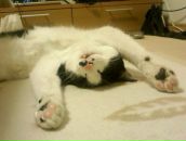 Наталія Радчук фотография #13 (источник - https://vk.com/id63224007)