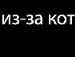 Юлічка Ніверська фотография #9 (источник - https://vk.com/id137067439)