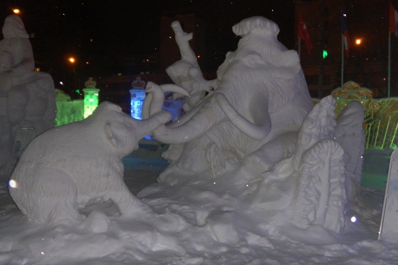 Дмитрий Хомяков фотография #37