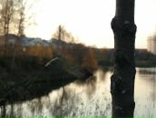 Рю Мураками фотография #9 (источник - https://vk.com/id2067589)