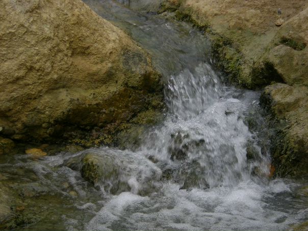 Ali Ali фото №4