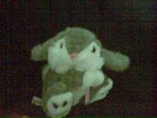 Фотография Долгодворова Игоря