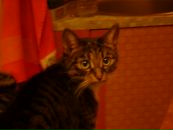 Фотография Баженовой Татьяны