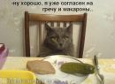 Віталік Дякович фотография #48 (источник - https://vk.com/id70418017)