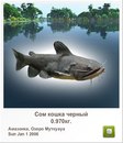 Иван Бабинец фотография #18 (источник - https://vk.com/id120069385)