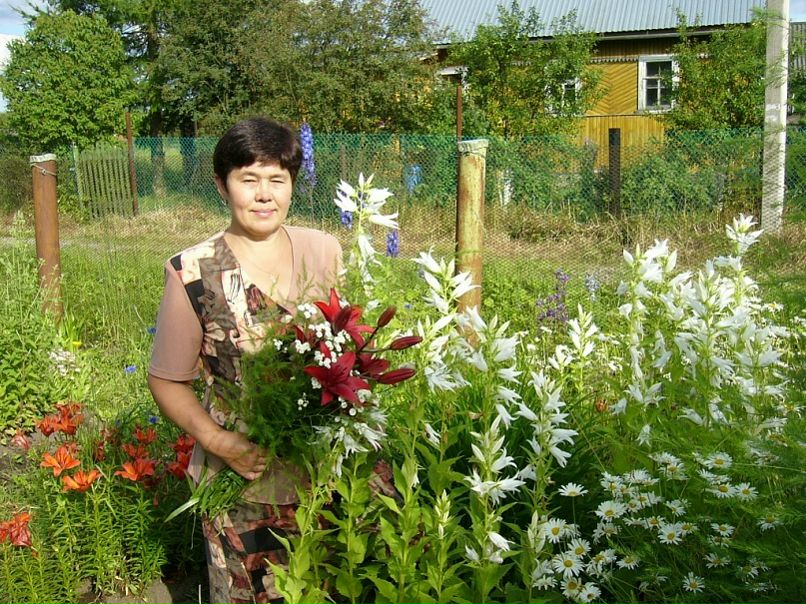 №17, Алла Панасюк №17, Алла Панасюк