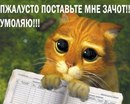Павлік Михальчук фотография #18 (источник - https://vk.com/id135776582)