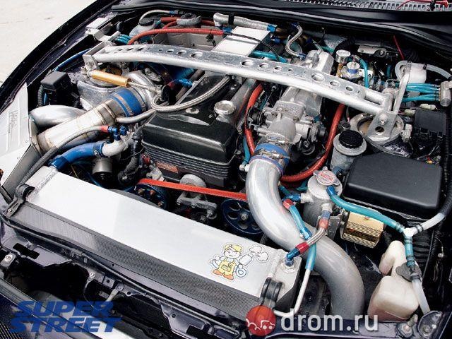 Дмитрий Шафер фотография #25