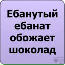 Віка Ковалик фотография #21 (источник - https://vk.com/id101366661)